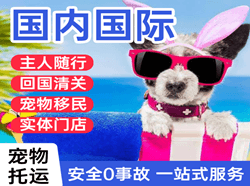 成都空运地址国际宠物托运 【国